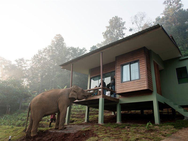 Chiang Mai Elephant Friends Eksteriør bilde